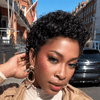 Effortless Full Lace Short Curly Pixie Cut Wig With Hybrid Edges