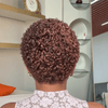 Fresh Start Brown Short Curly Pixie 13x6 Lace Wig with Tight Curls