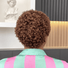 Fresh Start Brown Short Curly Pixie 13x6 Lace Wig with Tight Curls