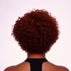 Shake & Go Playful Short Curly Pixie 13x6 Lace Frontal Wig with Side Part