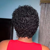 13x4 Lace Short Pixie Curly Wig 100% Human Hair