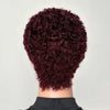 Beginner-friendly Black & Burgundy Short Curly Pixie Wig