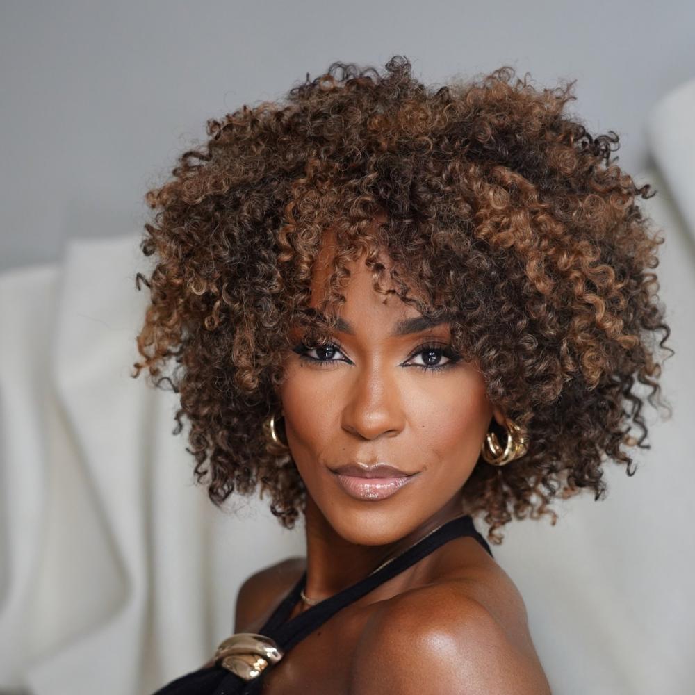 Brown Highlights Glueless Curly Afro Human Hair Wig