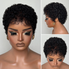 Beginner-friendly Black & Burgundy Short Curly Pixie Wig