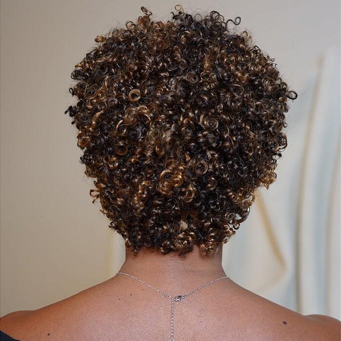 Glueless Light Blonde Highlights Afro Curls Short Curly Wig P2/27