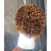 Full Lace Brown And Blonde Highlights Curly Pixie Wig