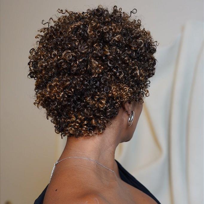 Glueless Light Blonde Highlights Afro Curls Short Curly Wig P2/27