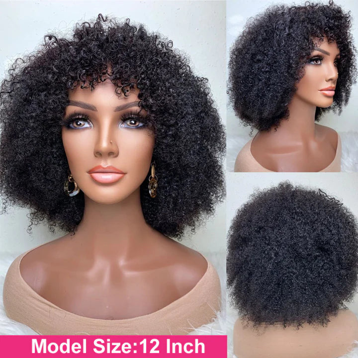 Afro Kinky Curly Glueless Wig With Bangs