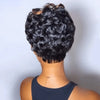 Full Lace Short Wavy Curls With Brown Higlights Human Hair Wig